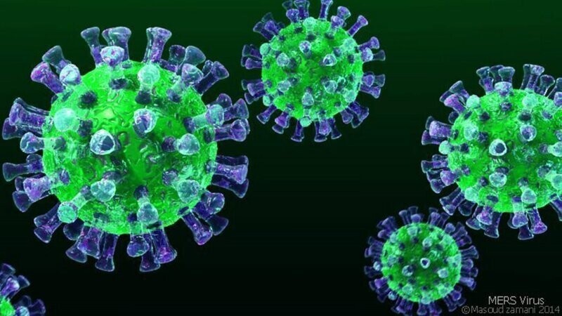 Вирус пневмонии: строение и особенности