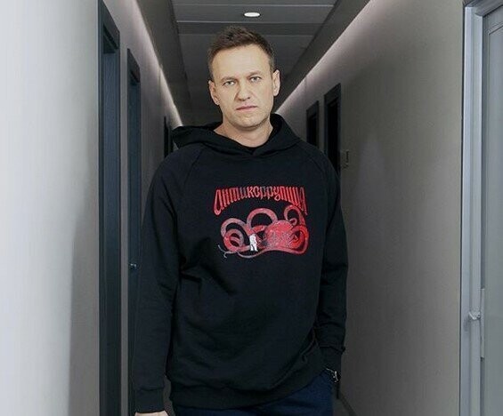 Навальный и его детки собираются устроить провокации в УИКах