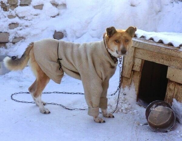 Всё в разнобой