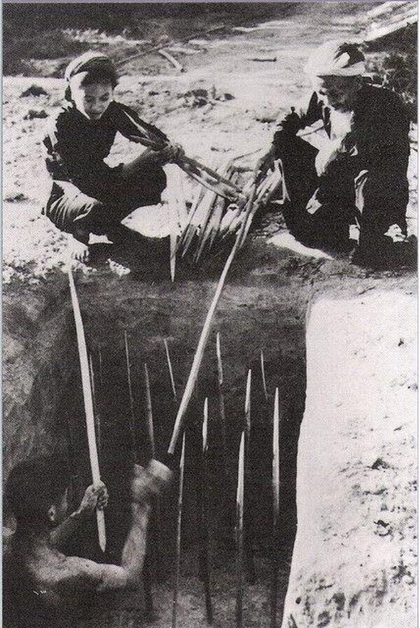 Жуткие ловушки вьетнамских партизан. Вьетнам, 1960-е гг. 