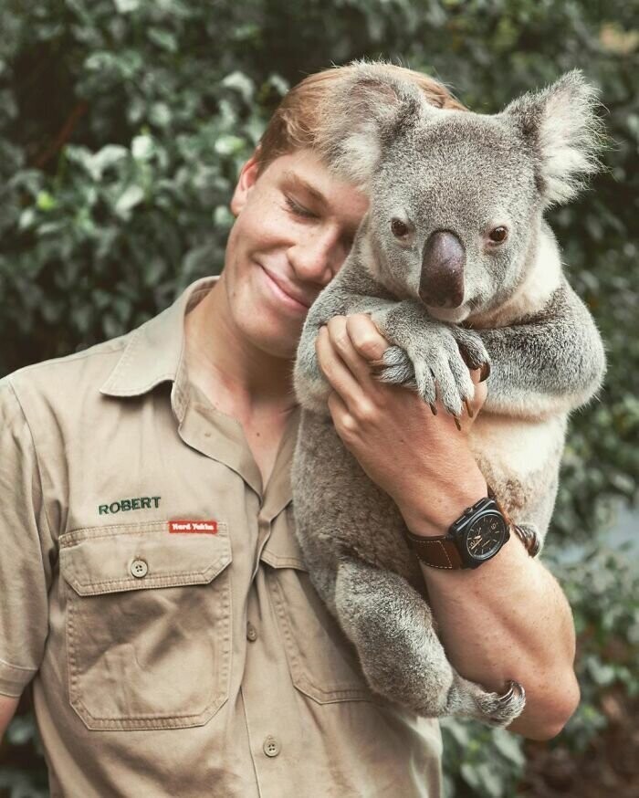 Бобби воссоздал этот культовый снимок Стива с коалой. А также объяснил, почему континент необходимо посетить именно сейчас