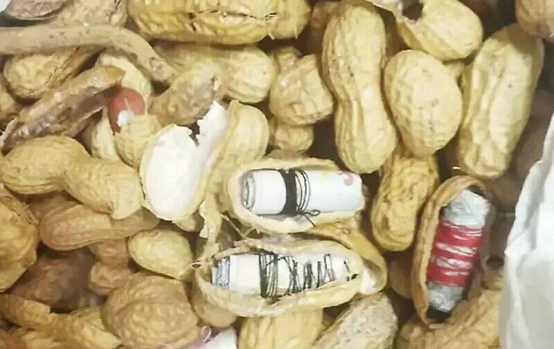 Контрабандист попытался вывести 4 миллиона рупий в ядрах арахиса