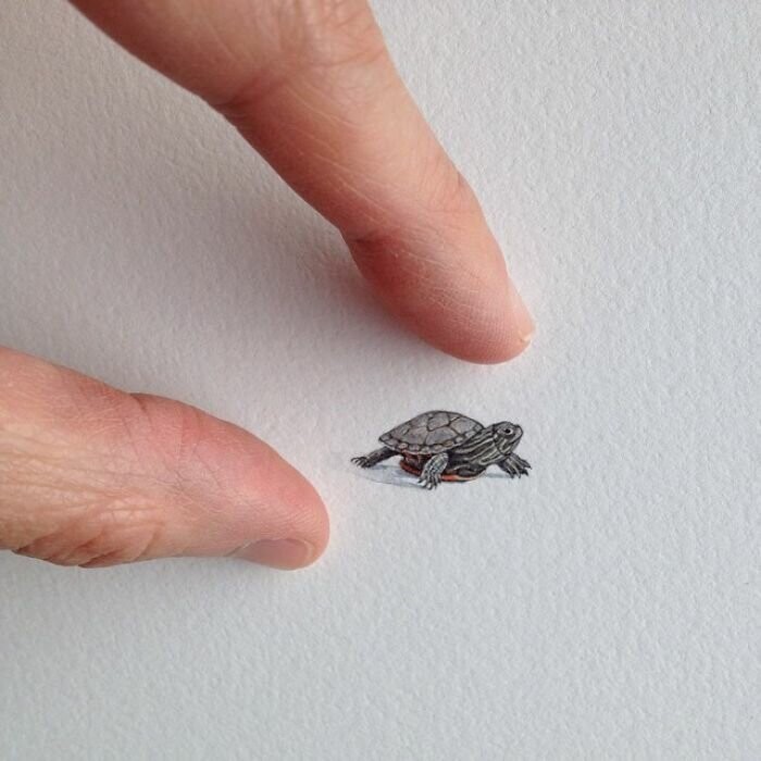 15 удивительных миниатюр, которые согрели нам сердце
