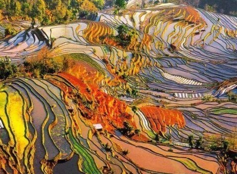 3. Рисовые террасы Хунхэ-Хани, Юньнань