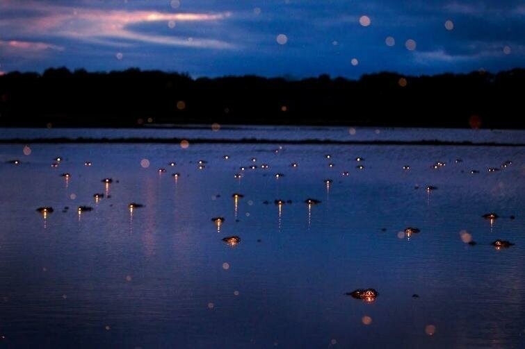 Фестиваль фонарей на озере