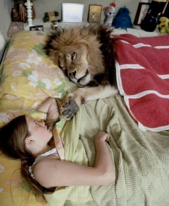 14-летняя Мелани Гриффит дома со своим любимым львом Нилом, 1971.