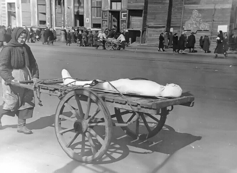 Жительница блокадного Ленинграда везет тело умершего на ручной тележке, 1942 год