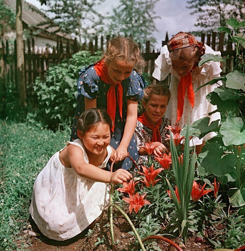 Советский малыш. Фотограф семён Осипович Фридлянд. Фотограф семён Осипович Фридлянд дети. Счастливое детство советских детей. Советские дети летом.