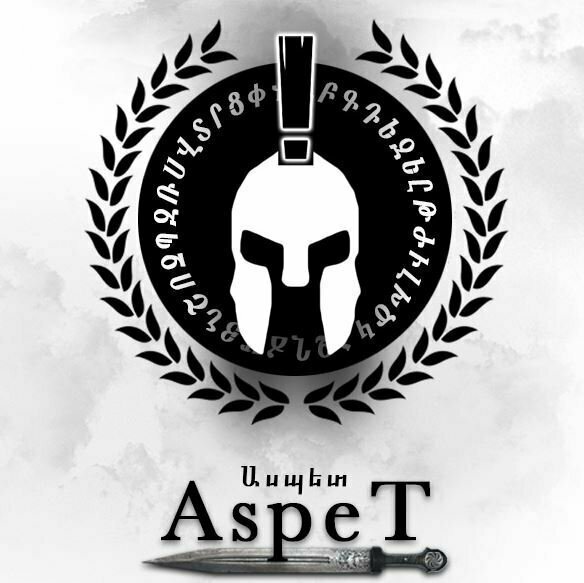 "Ты не армянка! Ты мусор!": сторонники движения "AspeT" начали борьбу за чистоту нации в Москве