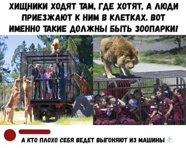 Прикольные и смешные картинки