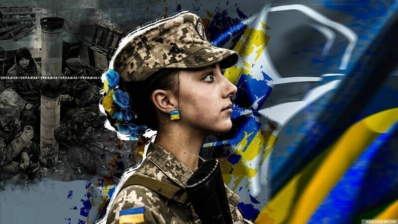 Дедовщина и страх БПЛА — неделя жизни войск Украины по стандартам НАТО