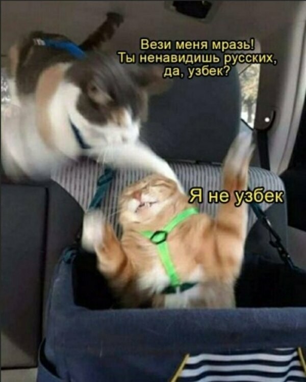 Картинки с надписями