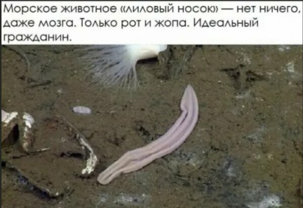 Картинки с надписями