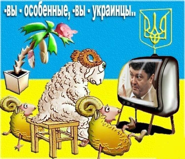 БОянистые карикатуры про Украину