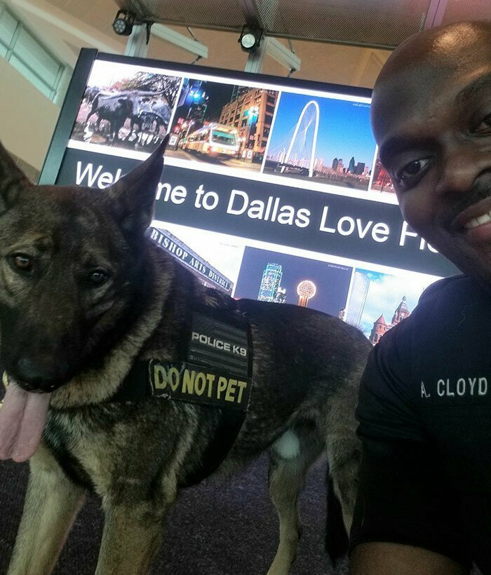 Девушка заметила, как полицейский в аэропорту делает селфи со служебной собакой