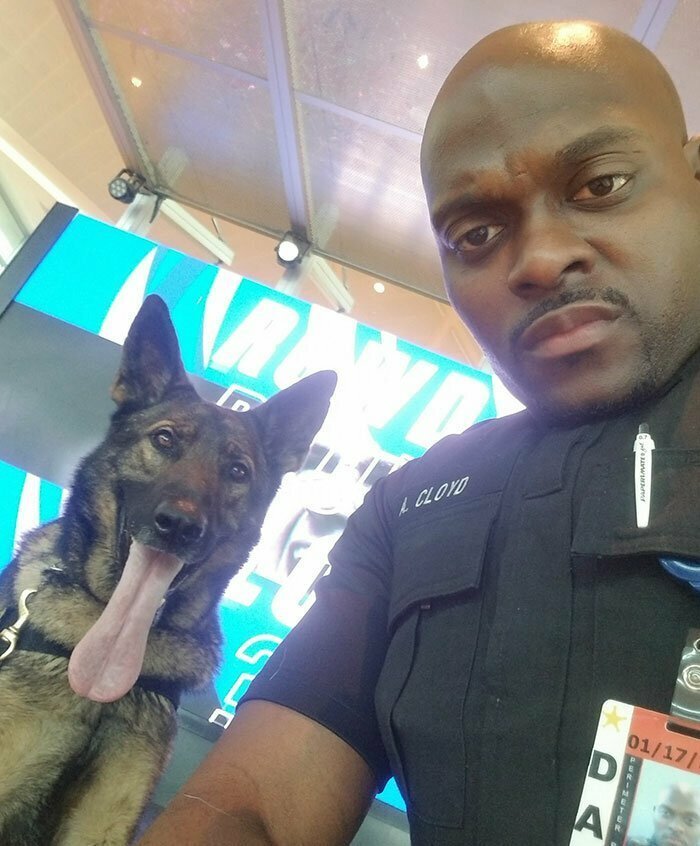 Девушка заметила, как полицейский в аэропорту делает селфи со служебной собакой