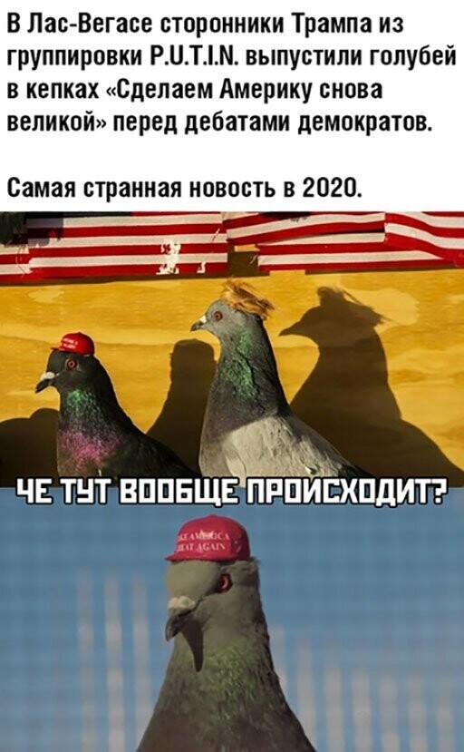 Прикольные и интересные картинки от Димон за 21 февраля 2020