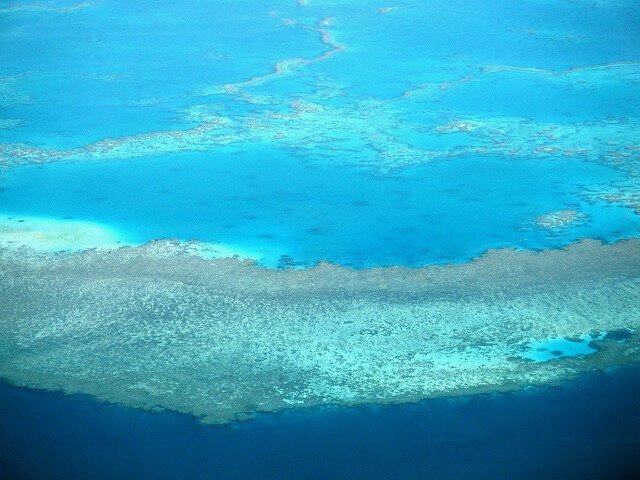 Лишь некоторые коралловые рифы доживут до конца столетия