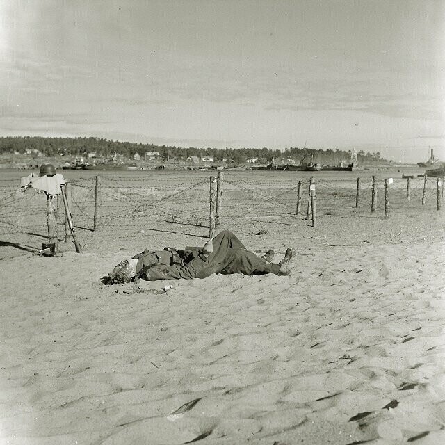 1944. Немцы против финнов: разгром десанта на острове Гогланд