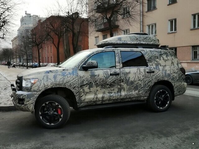 Автовсячина