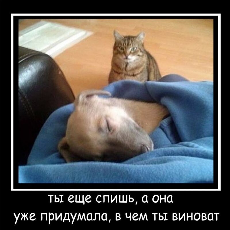 Когда ты ещё спишь, а твоя женщина уже придумала, в чём ты виноват