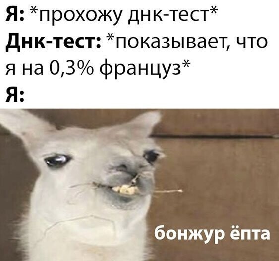 Прикольные и смешные картинки