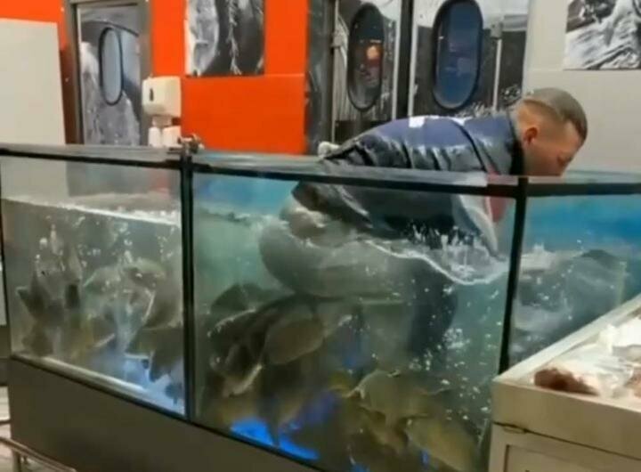 В Гомеле в супермаркете парень нырнул в аквариум с живой рыбой