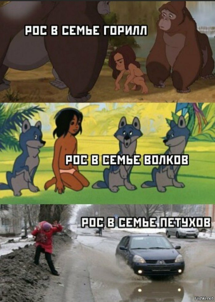 Солянка