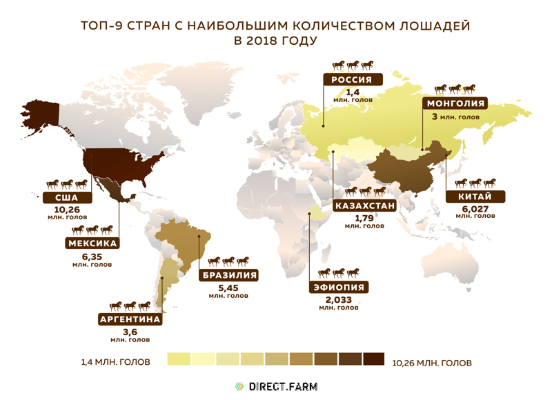 Топ-9 стран с наибольшим количеством лошадей