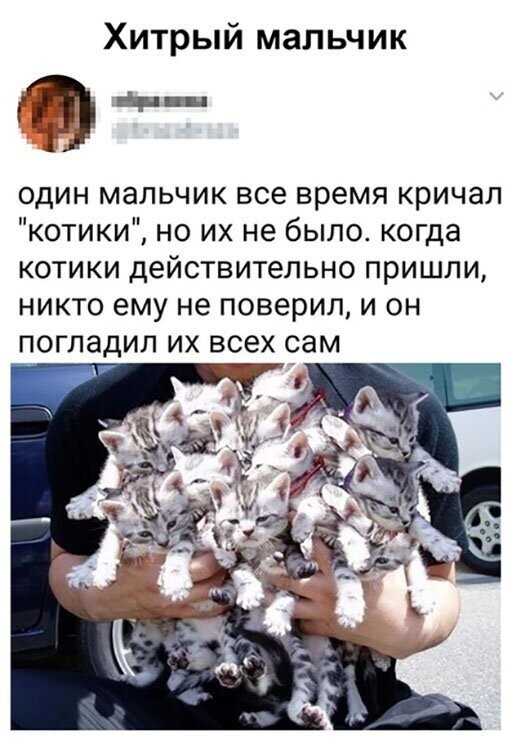 Прикольные и смешные картинки