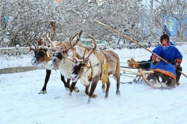 Веселые картинки