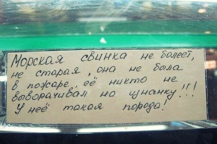 Намешалось