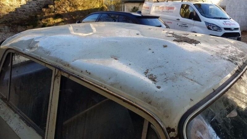 Купленный в Сирии Fiat 124 простоял 41 год в старом шотландском сарае