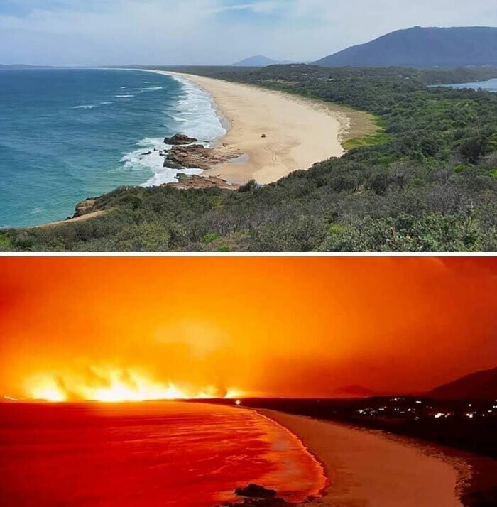 Пожары в Австралии: снимок одного и того же места с разницей в 1 неделю