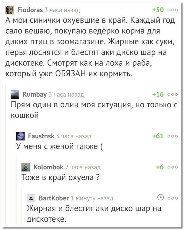 Всё в разнобой