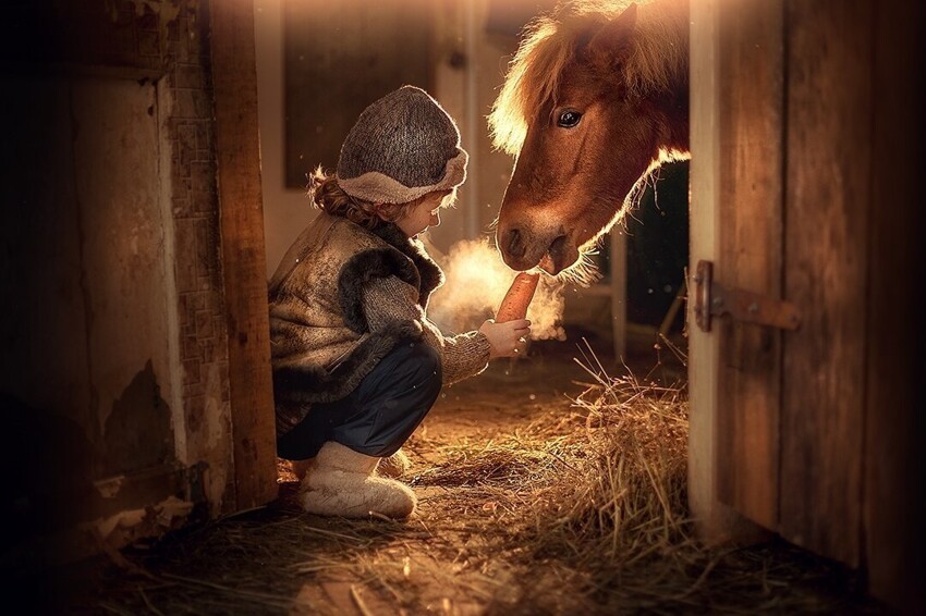 Мальчики в конюшне. Детская фотосессия с лошадьми. Любопытство. Конюшня для детей. Фотосессия в конюшне с лошадью.