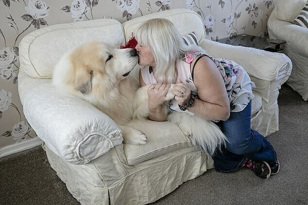 Чокнутый блондин: здоровенный пес, названный в честь Бориса Джонсона