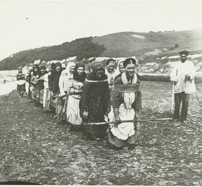Женщины-бурлачки тянут баржу на реке Суре, 1910 год, Нижегородская губерния