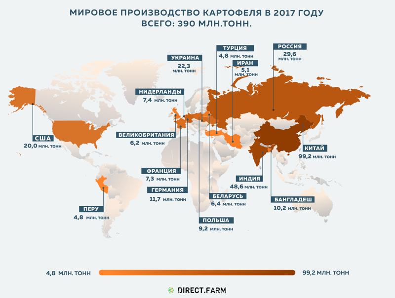 Страны-лидеры по производству картофеля в 2017 году