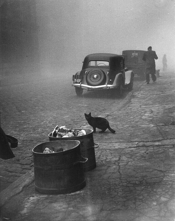Туманное утро Лион, Франция. 1950.