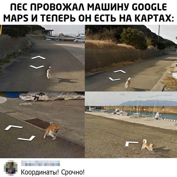 Прикольные и смешные картинки