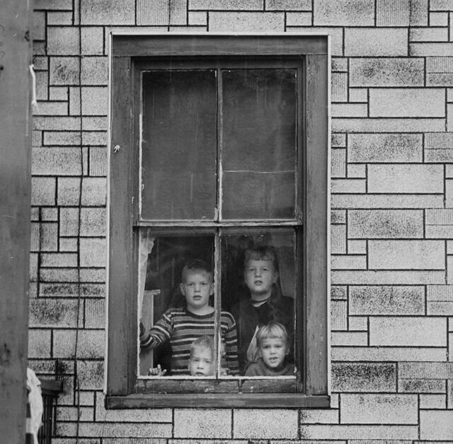 14. Дети смотрят из окна дома по соседству с "безумным бомбером" Джорджем Метески, 1957