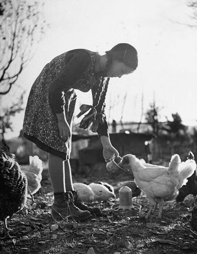 1. Девочка из фермерской семьи, Швейцария, 1947 год