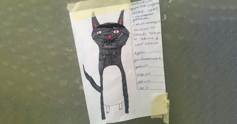 Девочка нарисовала самый милый фоторобот, чтобы найти пропавшего кота