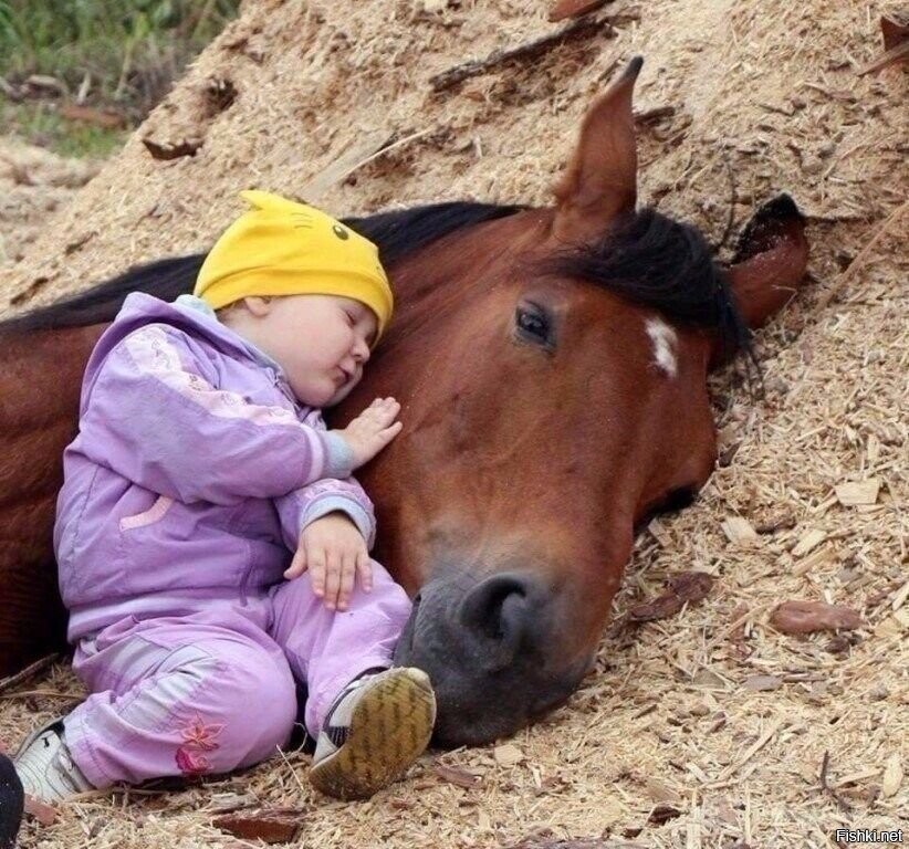 Ее первый остановленный