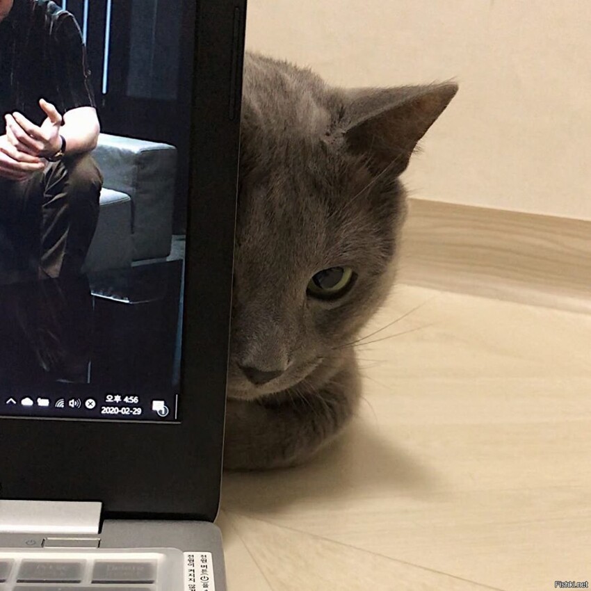 - Ну пойдем, пожрем