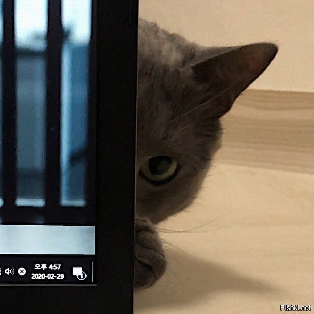 - Ну пойдем, пожрем
