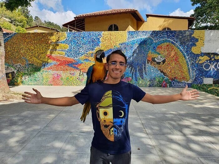 Художник создал гигантскую мозаику из 200 000 крышек от бутылок