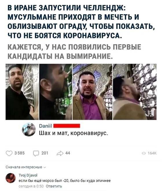 Прикольные картинки