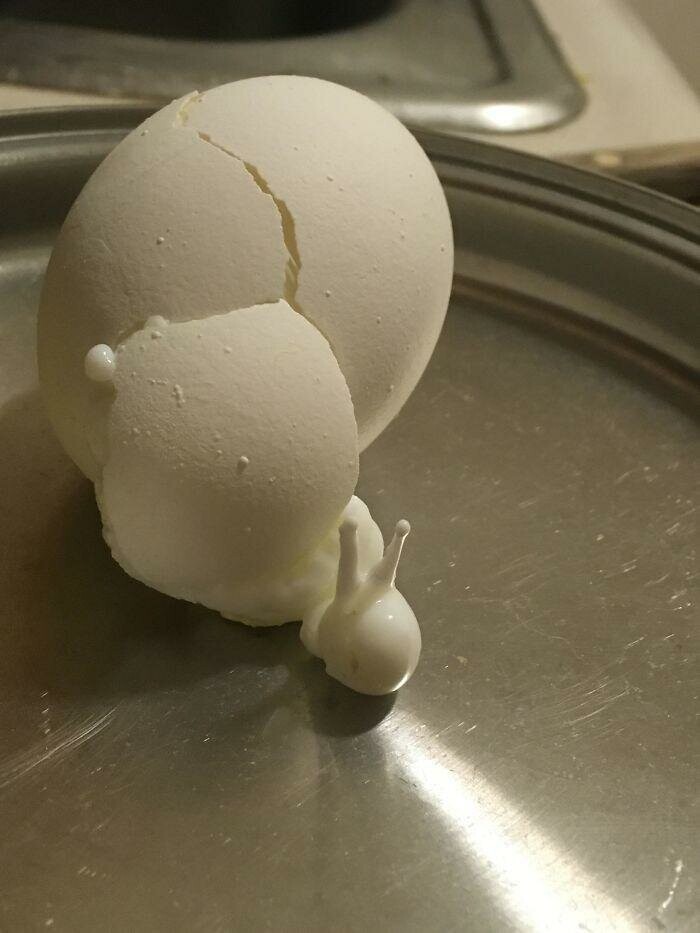Это вареное яйцо взорвалось во время приготовления и стало выглядеть как улитка